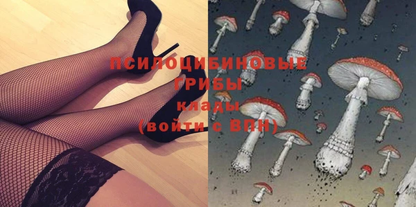 первитин Лиски